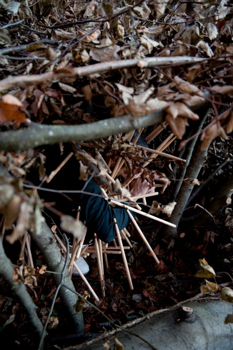 © philippe weissbrodt